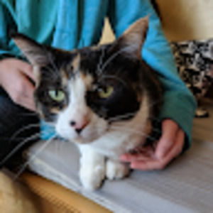 Meet your Posher, Bella